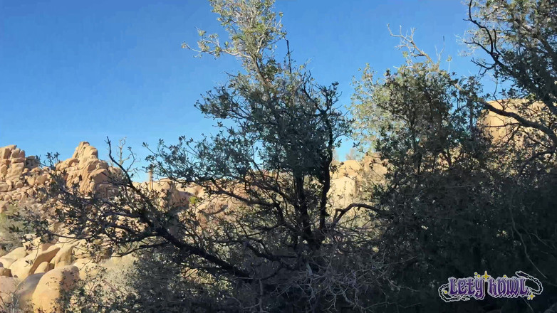 Lety Howl: Petualangan Lety Howl, Episode 12: Perjalanan Daratan AS