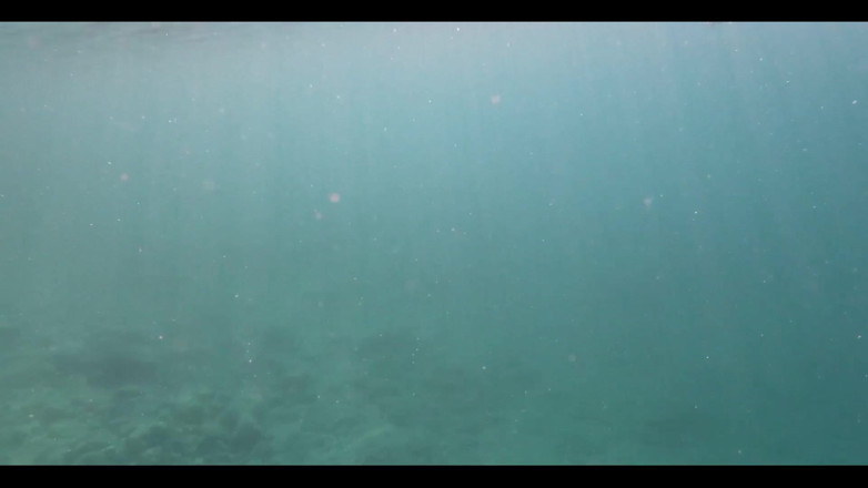Twohotb: Current Situation Is a Bit Like Swimming in the Ocean