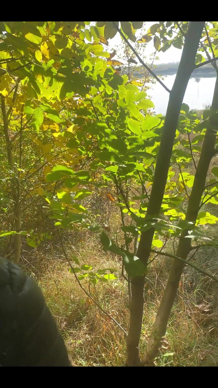 MilfyCalla: Milfycalla sammanställning av utomhus kul, sex i naturen är bra ep 1i...