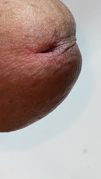 핫한 대표팀 선수는 친구의 형제와 밤을 보내고 보지 대안으로 그의 엉덩이를 따먹습니다.