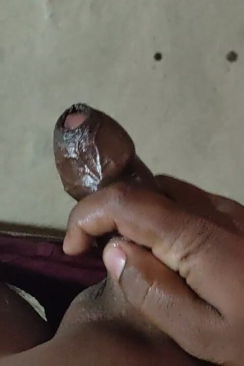 uthapparobin: Dik land Dunga Land staande strakke kut