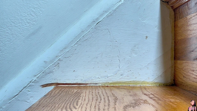 Pink Foxx: Прохаживаю вверх и вниз по лестнице