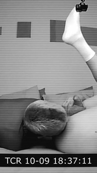 BTS - anulingus torride