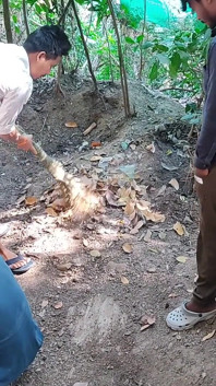 Three College Boys Enjoy Sex in the Woods Behind the House