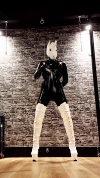 Dominatrix Unicorn