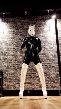 Dominatrix Unicorn