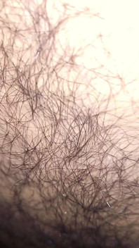 上瘾的美丽 twink 在巨大的鸡巴上快速射精