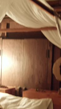 Nejrozrozumilejší Ebenová Vůbec Miluje Sát Mi Ptáka