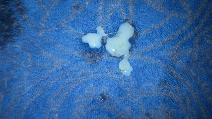 Greedy truck: Otomatik elle muamele - elleri olmadan boşalana kadar tüm yarağımı emiyor!