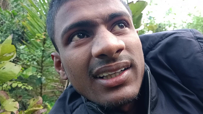 LinearOrnament35: Desi onani