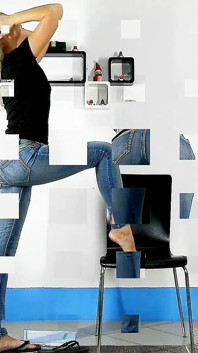 Whaletail Flashing Clip