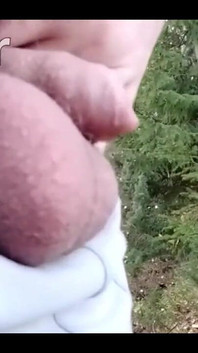 Pissing in the Woods