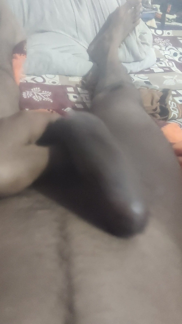 Gigolo Tv: Tetiččina kundička zvlhlá poté, co viděla můj penis.