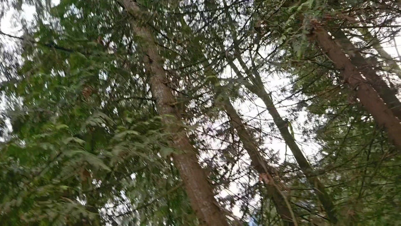 Nerdy_faery: Kencing di dalam ruangan, kencing di luar ruangan