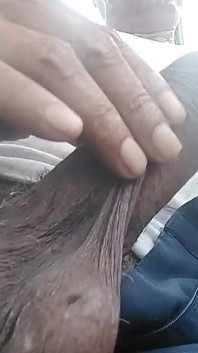 Big Cock Any Female Want