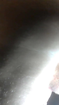 Thrusting Rotating Dildo Creaming My Ass