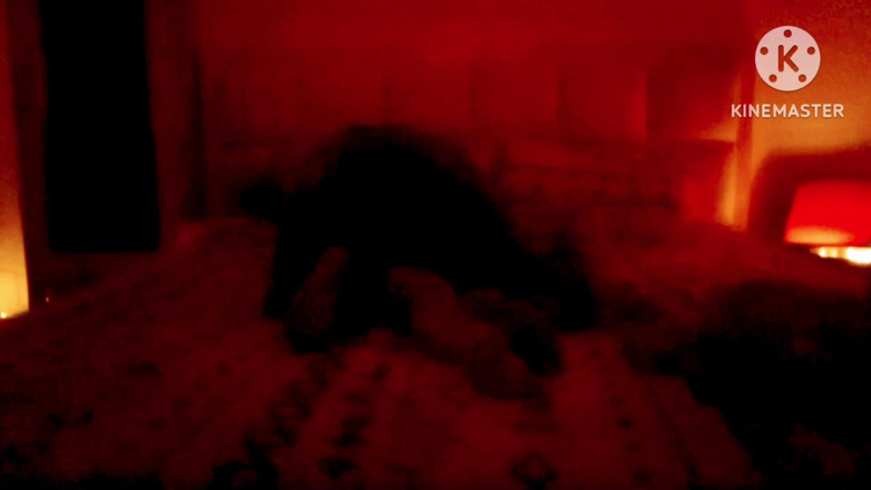 Ankita10000: 一对性感的蜜月印度夫妇在酒店房间拉尼瓦斯奈尼塔尔