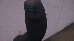 Tamil 10 inches BBC: Mrdání mého velkého ptáka