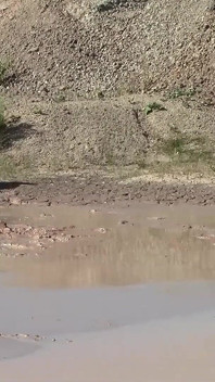 A Great Mud Adventure