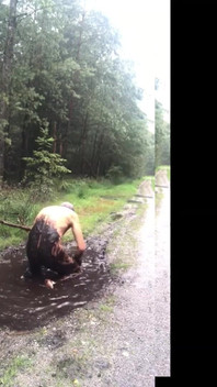 Horny in the Mud Puddle