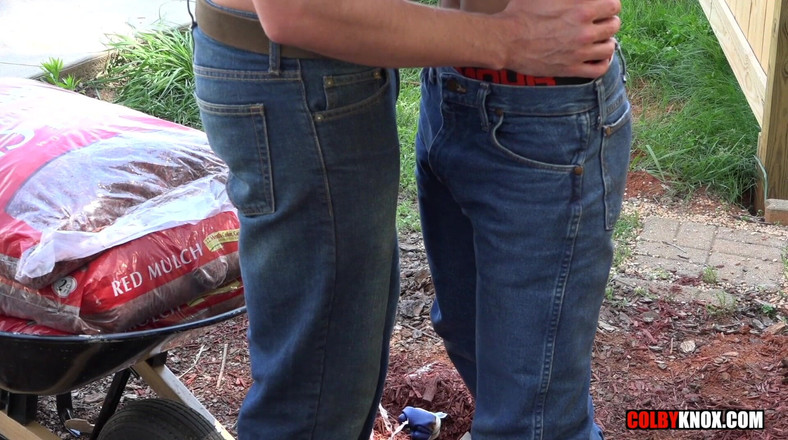 Colby Knox: Ngentot pantat bahenol cowok ini