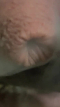 Party Dick