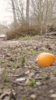 Osterhasen-fick - Peter Eskaliert Und Maria Gail in Wilder Outdoor-action