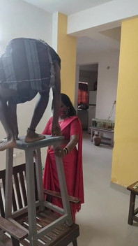 Fan Repair Boy Tricks the Lonely House Wife Into Sex