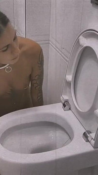 Praktischer toilettenreiniger