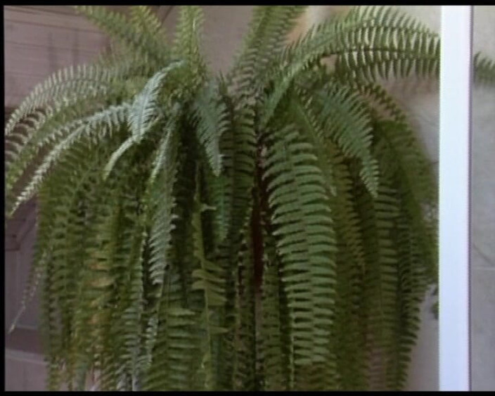 Deutsche Madchen: Awek blonde dari Jerman menjilat dan menjolok antara satu sama...