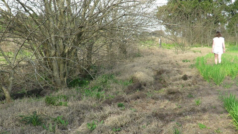 Milfcamsex: Patricia dans le domaine, amateur et cul blanc