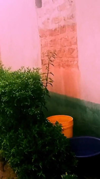 Uklízím můj dům