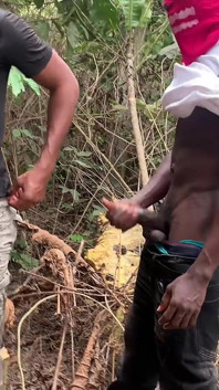 My Husband Took Me to a Forest for a Hot Sex