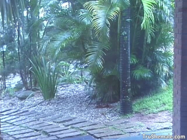 Tru Shemale: T-babe Stephanni unknowingly agrees to a threesome