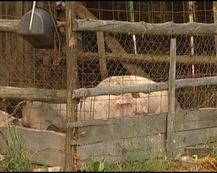 Deutsche Madchen: 自然の中で激しくファックされたドイツのおばあちゃん