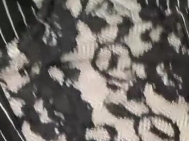 I Undress to Excite You (Teen Step)