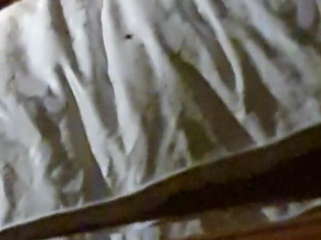 I Filmed Myself Reverse Cowgirl, More to Cum (Serenexx)
