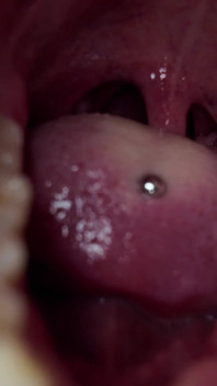 Mouth Tour 4k