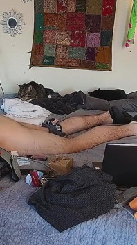 Hung Jock Solo šukání sexuální panenky