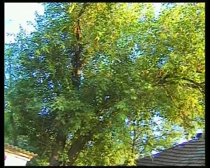 Swinger Friends Germany: 『Behind German Doors is Fucked Deligively - フルムービー』