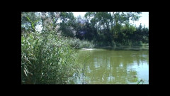 69 Italian District: ग्रामीण इलाकों में वेश्याएं