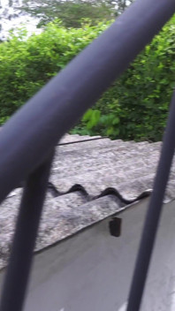 I Sneak Into My Locked Neighbor Bellattrix & Fuck Her Before Her Husband Returns