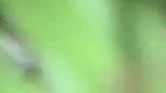 Beach Slut Beata Alone in the Dunes