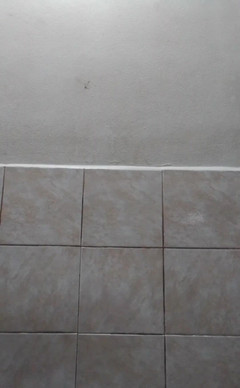 RavenHearth666VIP: Poprvé s análním kolíkem velikosti L Size Bunny