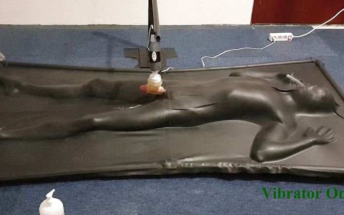 NL Milking: Milked by controlled vibrator in vacbed