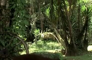 Shemale World: Sexo transgénero al aire libre