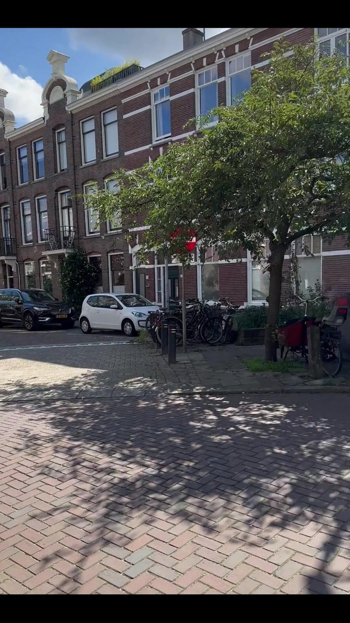 Amateurtwo: 荷兰你很漂亮