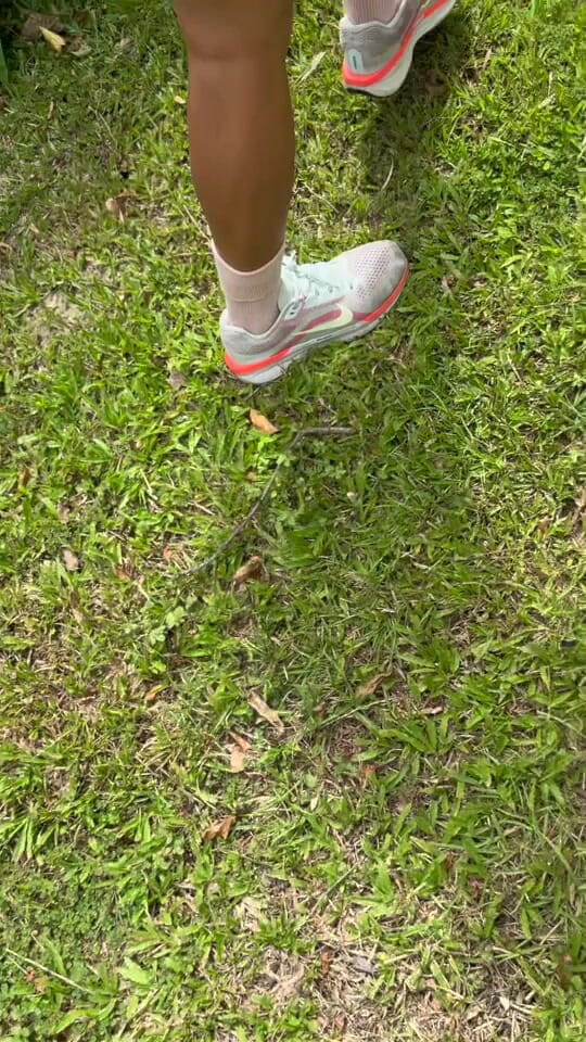 Calven: 野餐變野砲