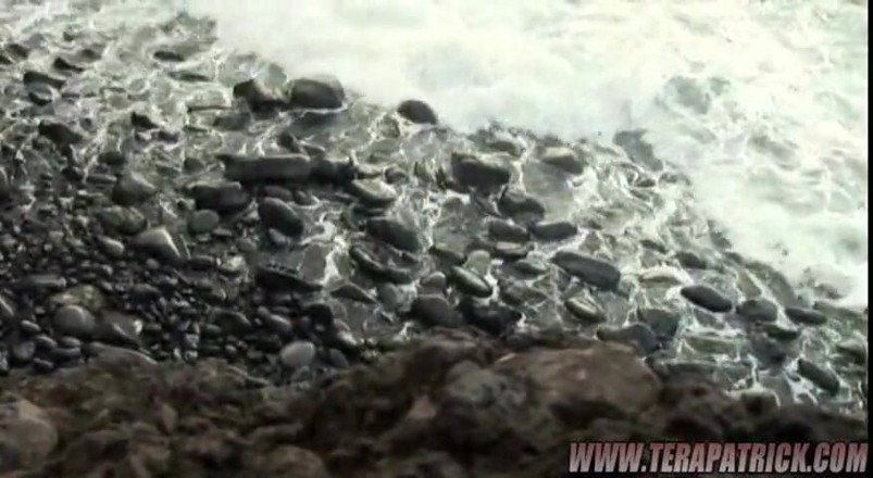泰拉·派翠克: 泰拉迪丝岛 2：场景 6 特拉帕特里克
