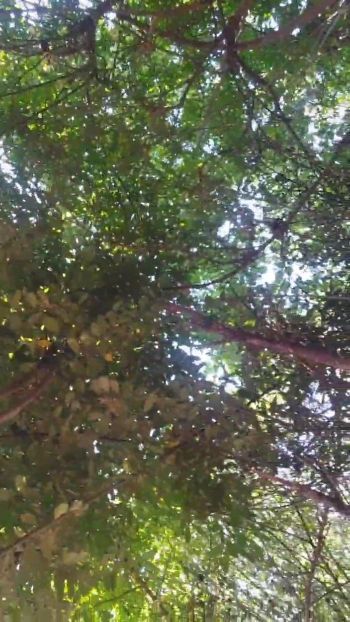 Kitty_Cross: Wer sagt, jungs können nicht sexy sein?